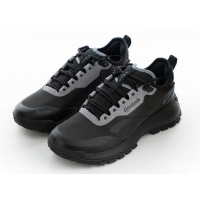 Reebok DMX Trail Gore-Tex Black Pure Grey
