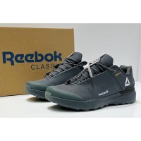 Reebok Gore-Tex Termo Grafite