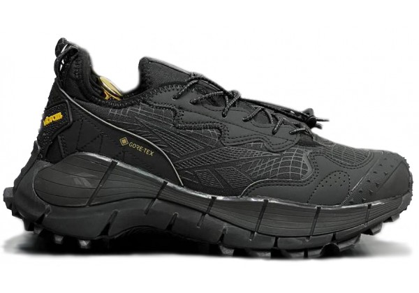 Reebok Zig Kinetica 2 Edge Gore Tex Black зимние